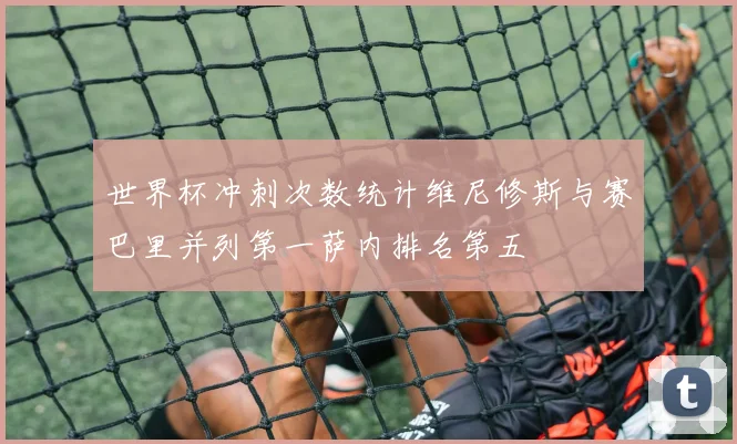 世界杯冲刺次数统计维尼修斯与赛巴里并列第一萨内排名第五